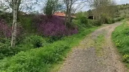 Les marcheurs de Lachaud