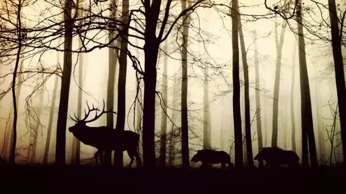 Repas des chasseurs